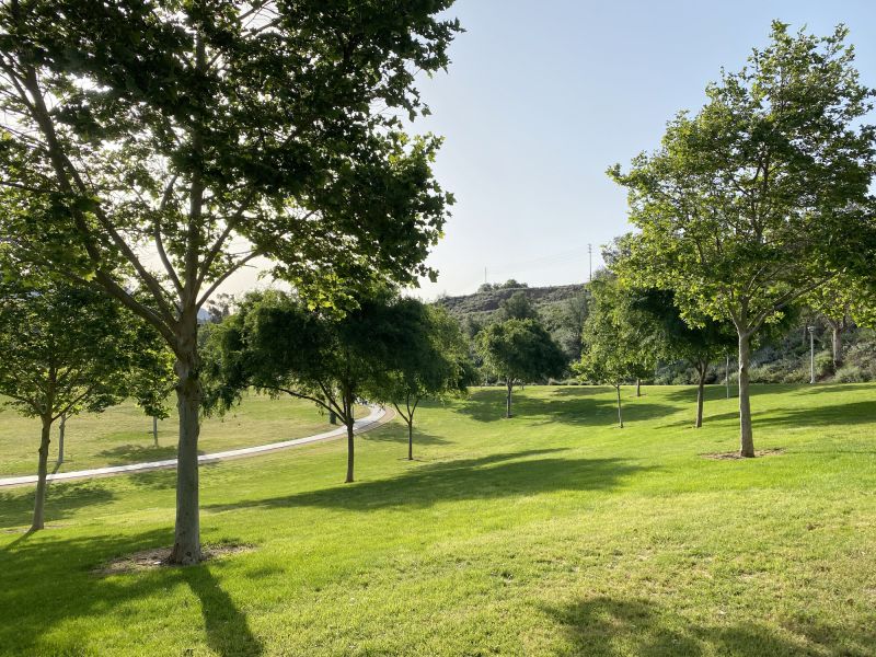 Increase Your Lawn Mowing Business with an AI Driven, Targeted Website