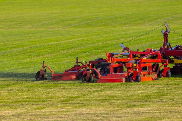 Industrial Lawn Service in Metairie
