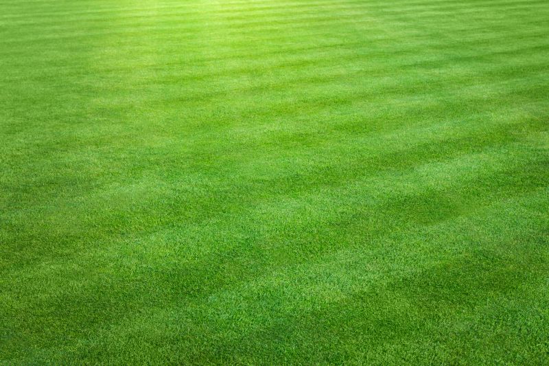 Residential Lawn Care detail