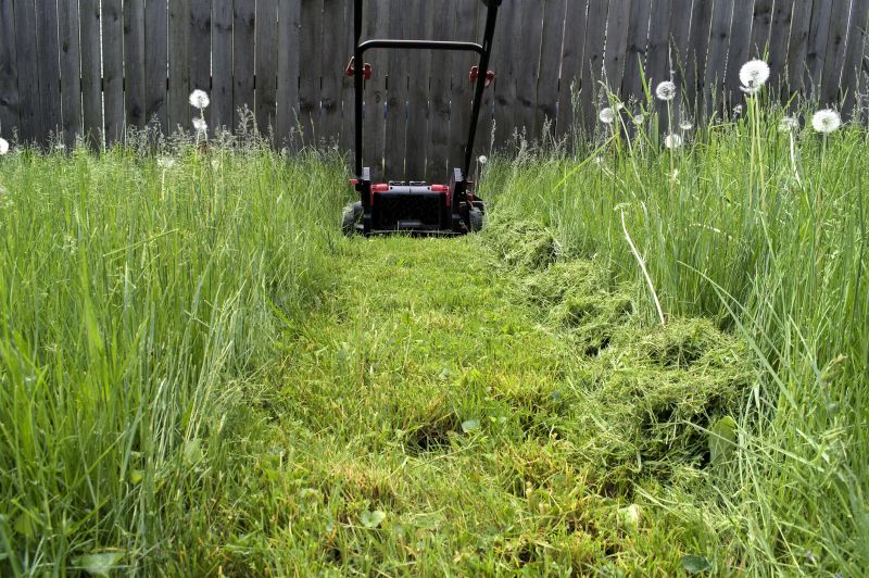 Long Grass Mowing
